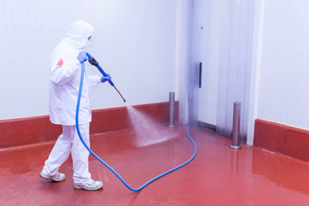 Best Graffiti Removal  in Baldwyn, MS